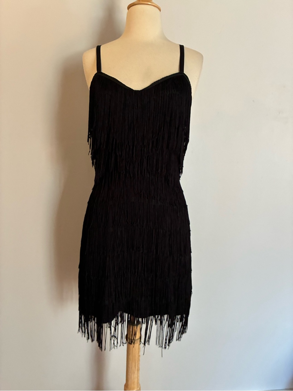 Trashy Diva Shimmy Flapper Fringe Dress